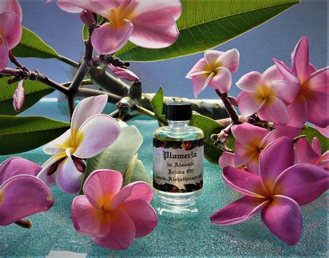 Plumeria Alohatherapy