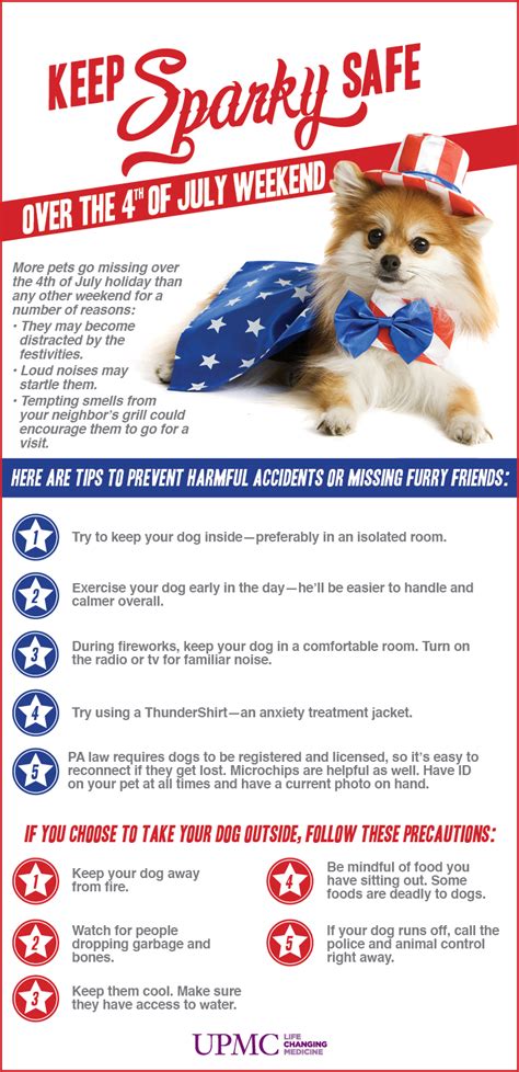 4th Of July Pet Safety Tips Upmc Healthbeat Pet Safety Dog Safe Pets