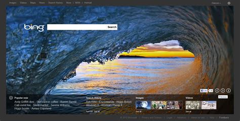 How To Set Msn As My Homepage On Chrome Home Decor