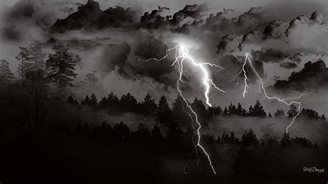 Hd Wallpaper Storm Coming Trees Forest Lightning Widescreen