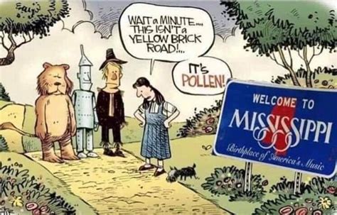 8 memes that only mississippians will get our mississippi home