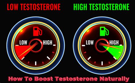 How To Boost Your Testosterone Naturally Balance My Hormones