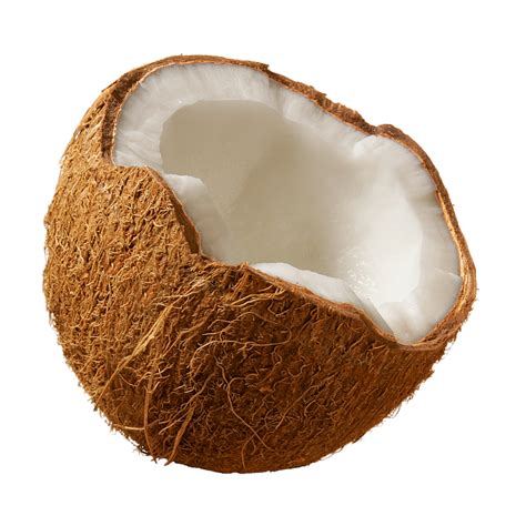 Collection Of Coconut Hd Png Pluspng