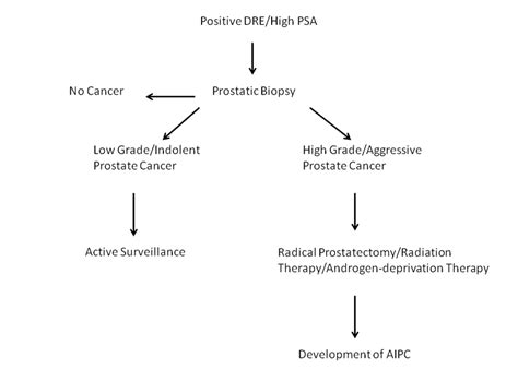 The annual average incidence for prostate cancer in ireland between 2010 and 2012 was this guideline does not include recommendations covering every aspect of diagnosis, staging and treatment. Prostate cancer diagnosis and treatment. | Download ...