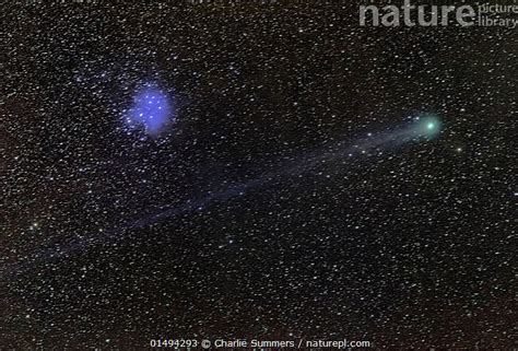 Stock Photo Of Comet Lovejoy C2014 Q2 Travelling Past The Pleiades