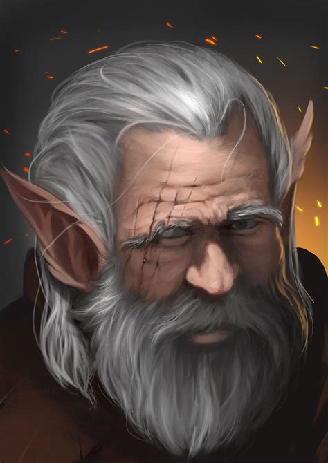 Old Gnome Elves Fantasy Baldurs Gate Portraits Dungeons And
