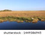 Wetlands and sky on the Anhinga Trail image - Free stock photo - Public ...