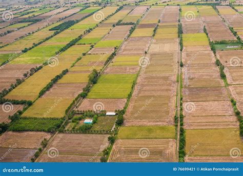 Overhead View Of The Field Stock Image Image Of Food 76699421