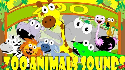 Zoo Animals Sounds Animal Sounds For Kids Youtube
