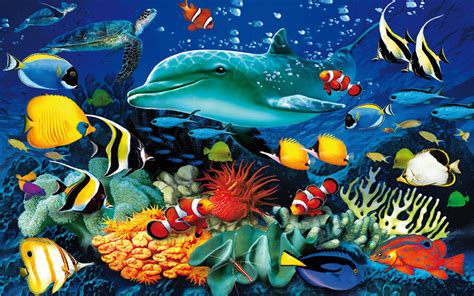 Ocean Underwater World Marine Life Dolphin Sea Turtle Colorful Tropical