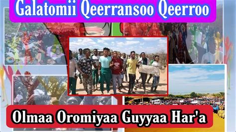 Olmaa Oromiyaa Guyyaa Haraagalatomii Qeerransoo Awashmedia Youtube