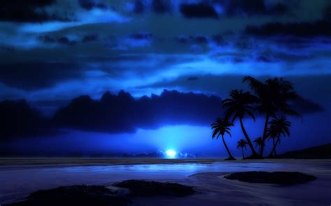 Artistic Beach Artistic Tropical Palm Tree Night Ocean Sea Blue Moon Cloud Silhouette Horizon