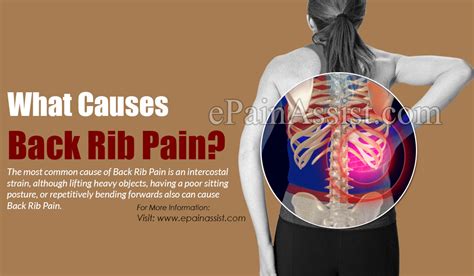 Rib Cage Anatomy Back View Upper Back Pain Causes And Treatments My