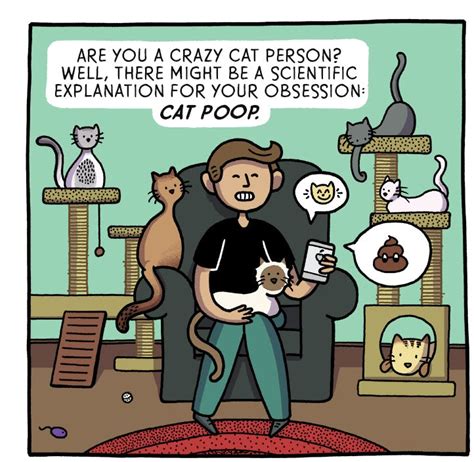 “crazy Cat People” Explained The Nib