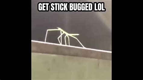 Get Stick Bugged Meme Bymememania Youtube