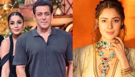 Shehnaaz Gill Reacts To Palak Tiwaris Comment On Salman Khans Rules Says I Wore A Sexy Dress