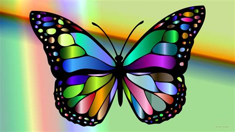 Colorful Butterfly Barbaras Hd Wallpapers