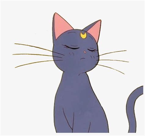 Anime Cat Sailormoon Aesthetic Tumblr Sticker Freetoedi