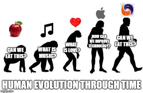 Human Evolution Imgflip