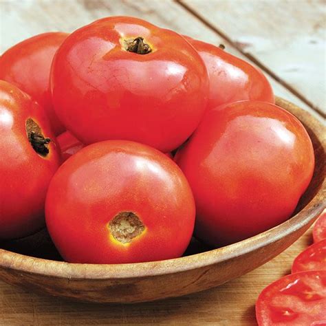 Organic Non Gmo Iron Lady F1 Tomato