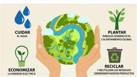 En El Día Mundial Del Ambiente Recomiendan Acciones Para Cuidar El Planeta