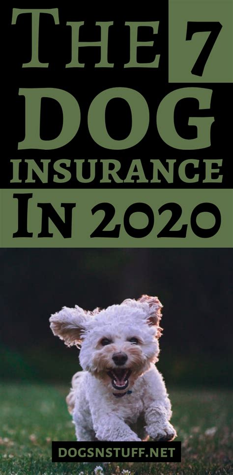 Check out what 1,310 people have (thank you for taking my money top dog insurance). How to Find the Best Dog Insurance | Dog insurance, Dog training tips, Dog hacks
