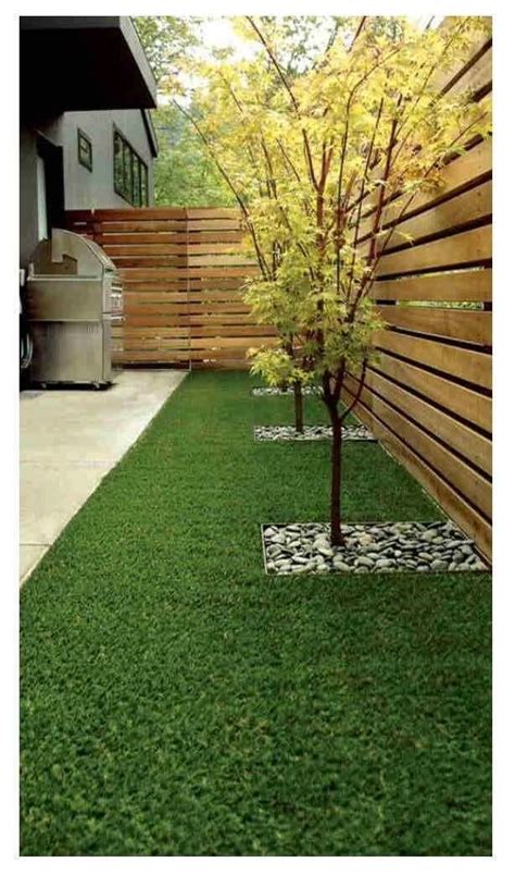 Jenis Rumput Taman Hias Untuk Taman Rumah Anda