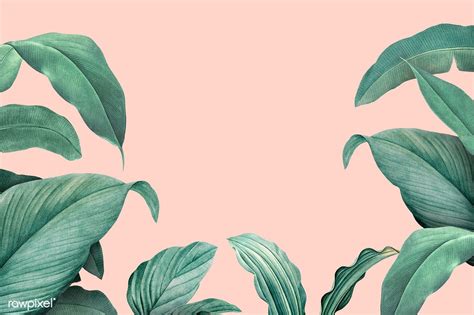Download Premium Illustration Of Hand Drawn Tropical Leaves On A Pastel