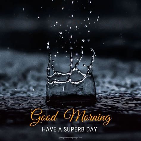 Best Rainy Good Morning Images Rainy Good Morning Good