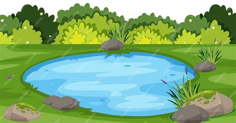 Premium Vector Landscape With Small Pond In Park