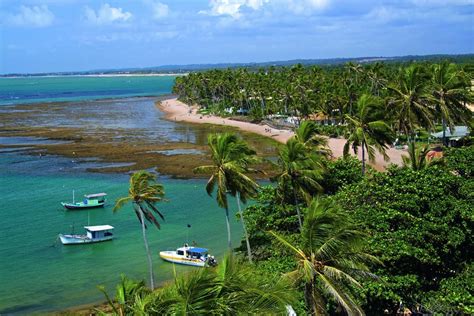 Praia do Forte BA conhecida como Polinésia Brasileira repleta de encantos