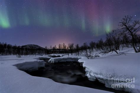 Aurora Borealis Over Blafjellelva River Photograph By Arild Heitmann