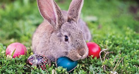 Where Did The Easter Bunny Come From Farmers Almanac