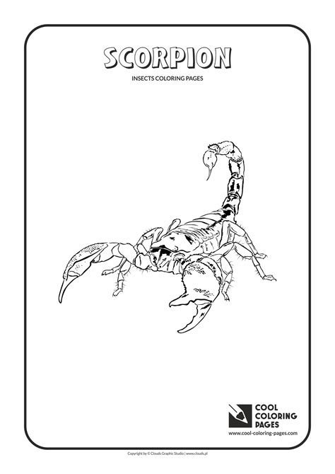 New users enjoy 60% off. Cool Coloring Pages Scorpion coloring page - Cool Coloring ...