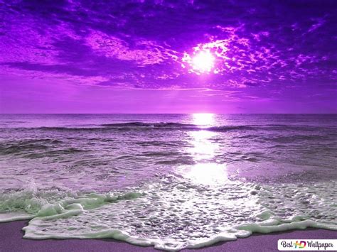 Purple Beach Sunset Wallpapers 4k Hd Purple Beach Sunset Backgrounds