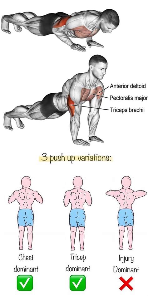 Different Push Up Positions Train Different Parts Push Up Workout