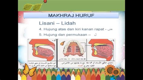 Quran edu center tempat belajar ngaji online. Belajar Tajwid - Sebutan Makraj Huruf ( secara santai ...