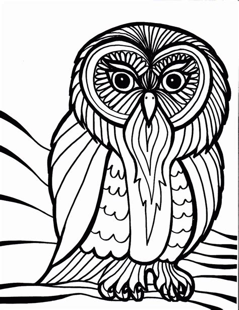 Owl Coloring Pages For Adults