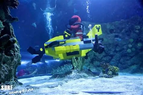 Sea Life Aquarium Legoland A Wondrous Discovery