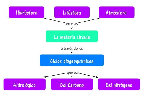 Ciclos Biogeoqu Micos Escolar Abc Color