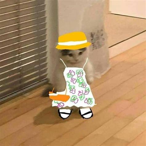 Cat Standing Up Meme PFP