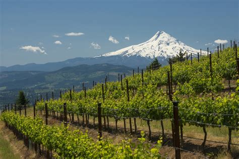 Washington is a state in the pacific northwest region of the united states of america. Washington State Has Arrived: Meet the World's Most ...