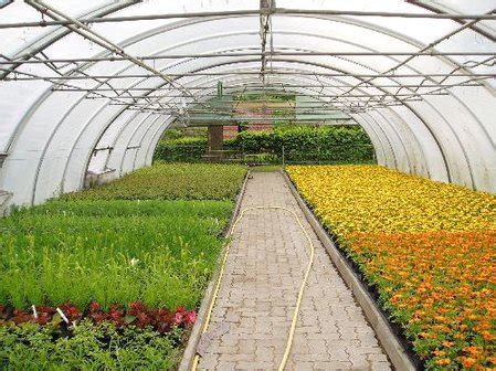 It is open daily without charge. Hessische Gartenakademie - Botanischer Garten Kassel