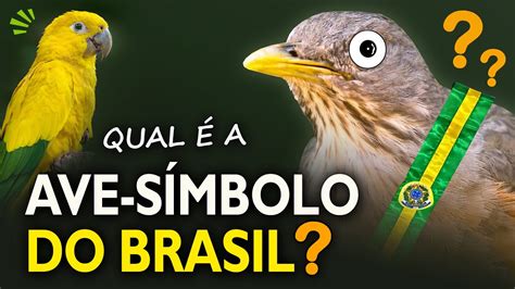 Qual é A Ave SÍmbolo Do Brasil Conheça 7 Espécies De Aves Candidatas Youtube