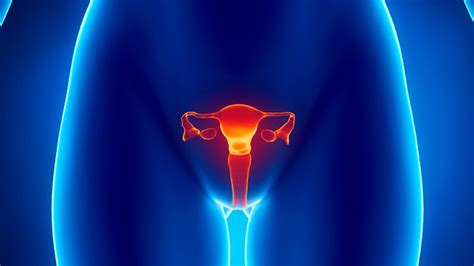 12 Facts You Should Know About Ovarian Cysts Fox News