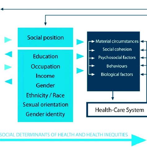 Conceptual Framework For Action On The Social Determinants Of Health