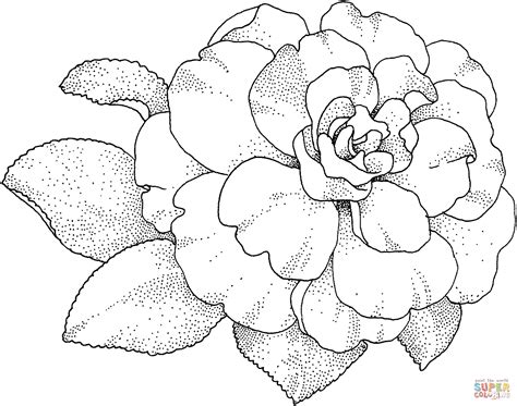 Imagenes De Gardenias Para Colorear