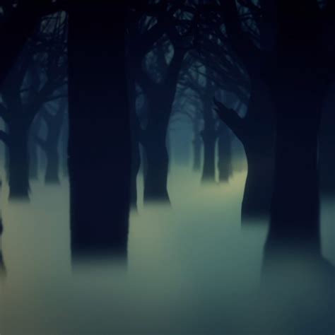 Dark Forest Fog 3d Model Animated Pixelboom