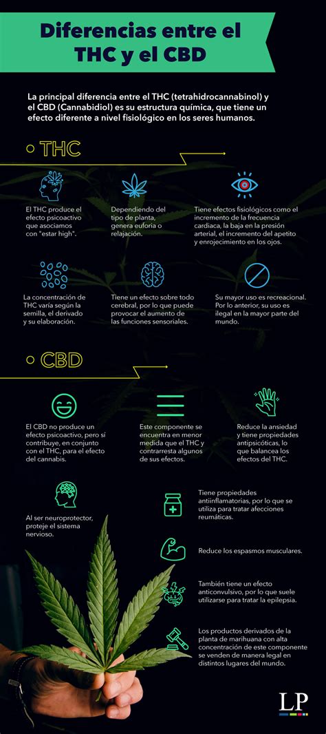 Infografía Cannabis Medicinal ¿cuál Es La Diferencia Entre El Thc Y El Cbd Latinamerican Post