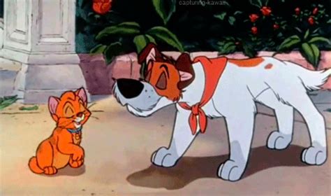 Oliver And Company Gifs Page Wifflegif